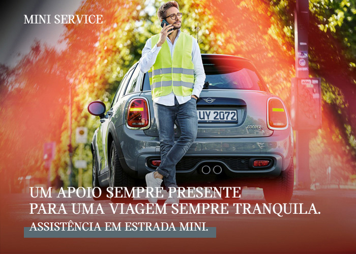 MINI SERVICE INCLUSIVE